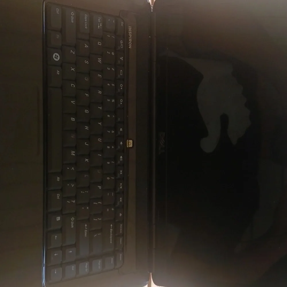 Dell inspiron 1545
